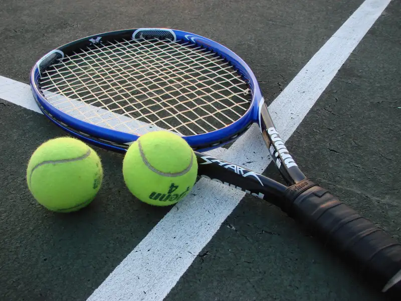 Evolution of Tennis Racquets: Trends and Market Insights