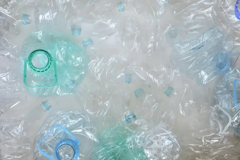 Sree Renga Polymers: Fashionable Sportswear from Recycled Plastic Bottles