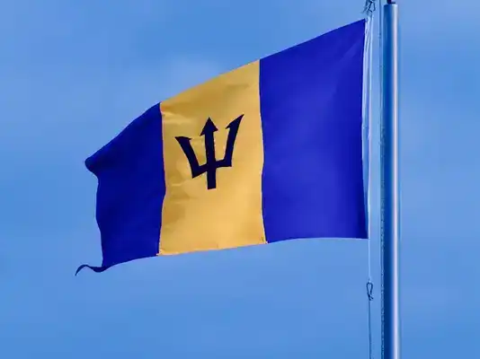 2024 Barbados Road Tennis Open: Introducing Courtside Software