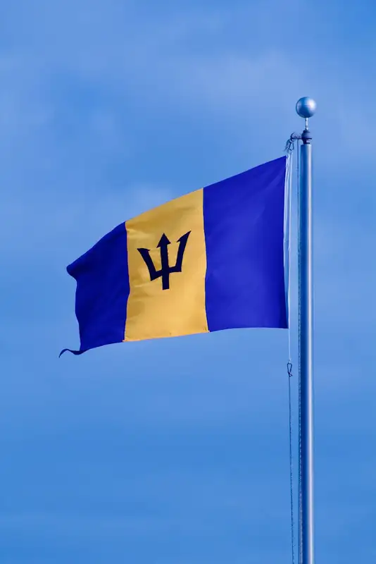 2024 Barbados Road Tennis Open: Introducing Courtside Software